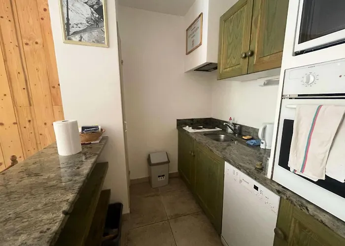 Sappey - - Bel Au Calme Et Au Pied Des Pistes Mae-5521 Apartment Les Deux Alpes